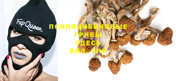 2c-b Магас